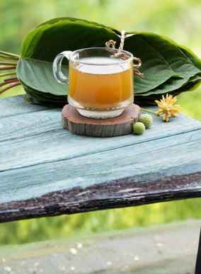 Real Botanicals