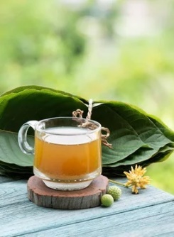 Real Botanicals