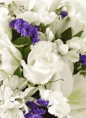 Send Flowers