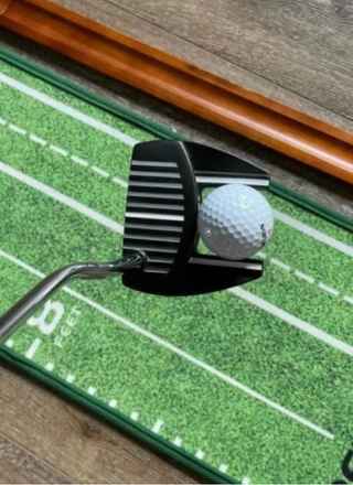 Zebra Golf